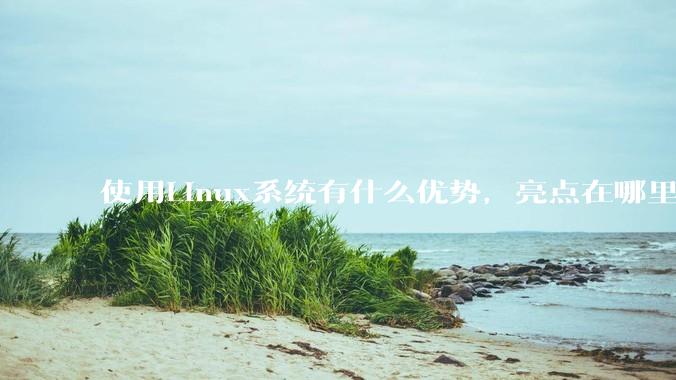 使用Linux系统有什么优势，亮点在哪里？