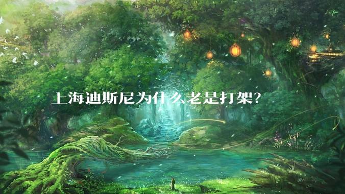 上海迪斯尼为什么老是打架？