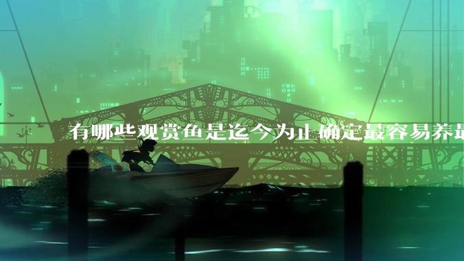 有哪些观赏鱼是迄今为止确定最容易养最不容易死的？