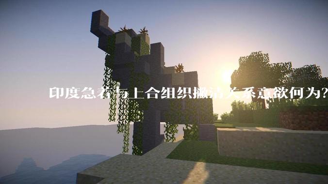 印度急着与上合组织撇清关系意欲何为？