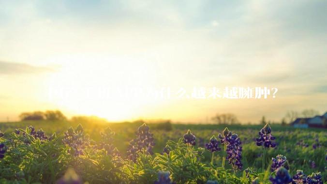 国产手机APP为什么越来越臃肿？