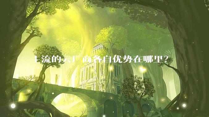 主流的云厂商各自优势在哪里？