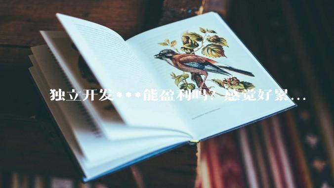 独立开发***能盈利吗？感觉好累...