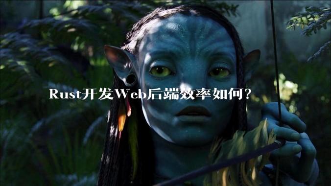 Rust开发Web后端效率如何？