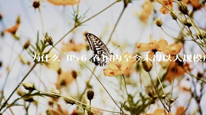 为什么 IPv6 在国内至今未得以大规模应用?