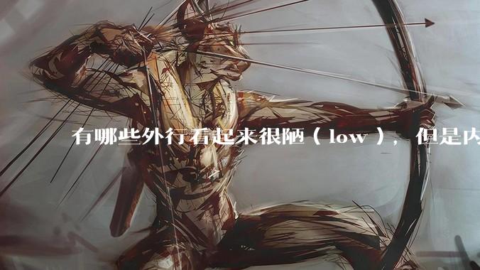 有哪些外行看起来很陋（low），但是内行人却觉得很高大上的东西？