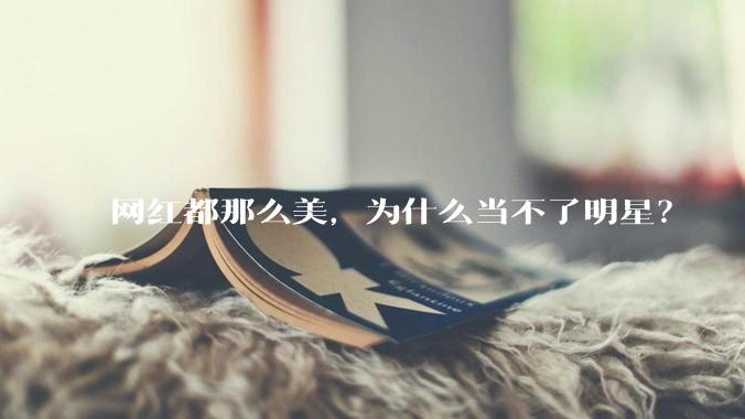 网红都那么美，为什么当不了明星？