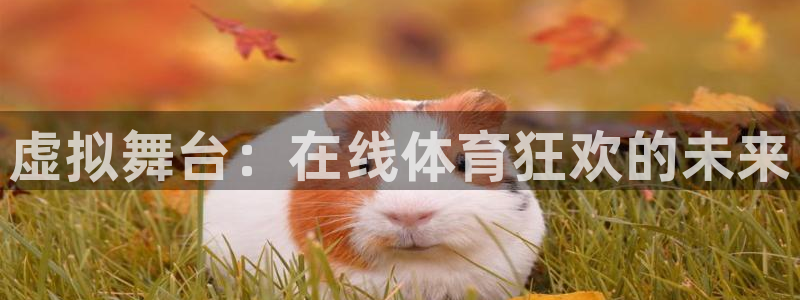 虚拟舞台：在线体育狂欢的未来