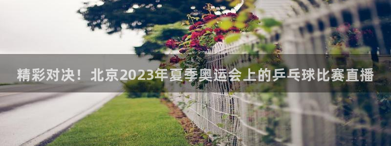 精彩对决！北京2023年夏季奥运会上的乒乓球比赛直播