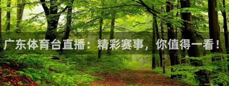 广东体育台直播：精彩赛事，你值得一看！