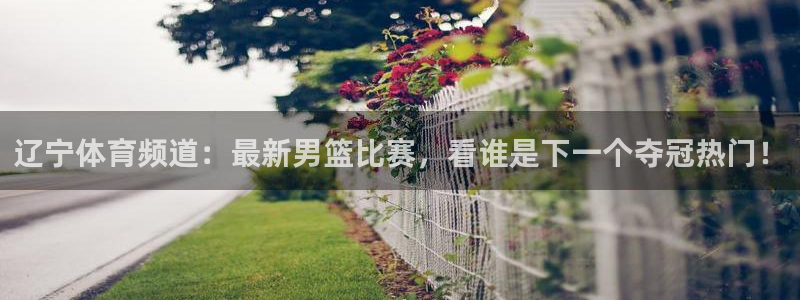 辽宁体育频道：最新男篮比赛，看谁是下一个夺冠热门！