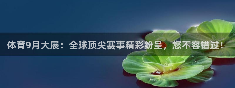 体育9月大展：全球顶尖赛事精彩纷呈，您不容错过！