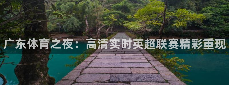 广东体育之夜：高清实时英超联赛精彩重现