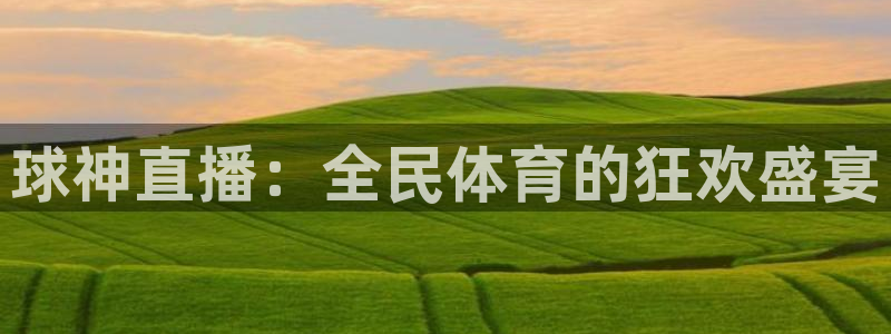 球神直播：全民体育的狂欢盛宴