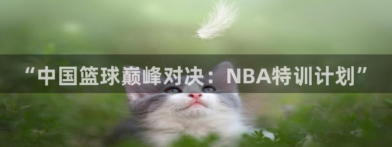 “中国篮球巅峰对决：NBA特训计划”