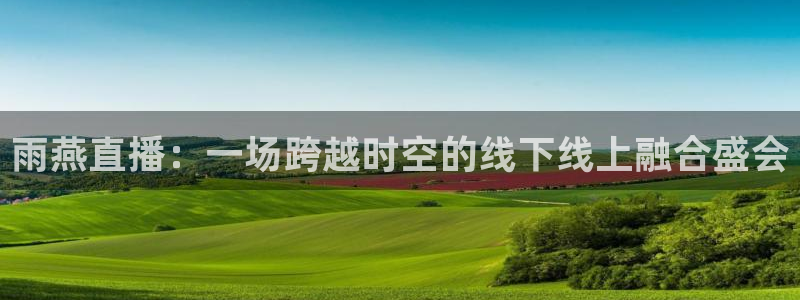 雨燕直播：一场跨越时空的线下线上融合盛会