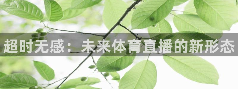 超时无感：未来体育直播的新形态