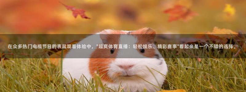 在众多热门电视节目的表层观看体验中，\
