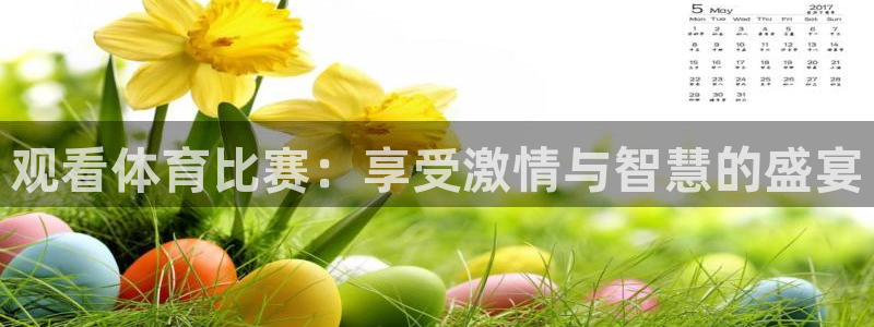 观看体育比赛：享受激情与智慧的盛宴