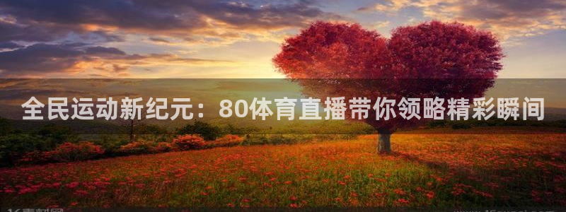 全民运动新纪元：80体育直播带你领略精彩瞬间