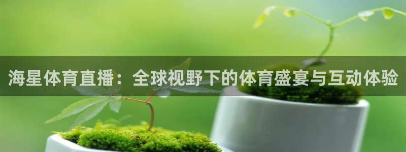 海星体育直播：全球视野下的体育盛宴与互动体验