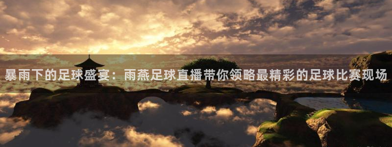 暴雨下的足球盛宴：雨燕足球直播带你领略最精彩的足球比赛现场