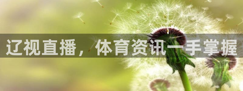 辽视直播，体育资讯一手掌握