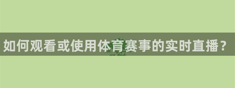 如何观看或使用体育赛事的实时直播？