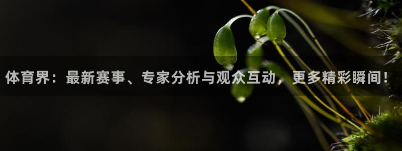 体育界：最新赛事、专家分析与观众互动，更多精彩瞬间！