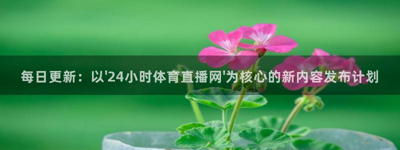 每日更新：以\'24小时体育直播网\'为核心的新内容发布计划