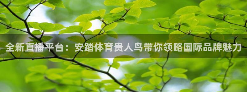 全新直播平台：安踏体育贵人鸟带你领略国际品牌魅力