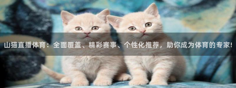 山猫直播体育：全面覆盖、精彩赛事、个性化推荐，助你成为体育的专家!