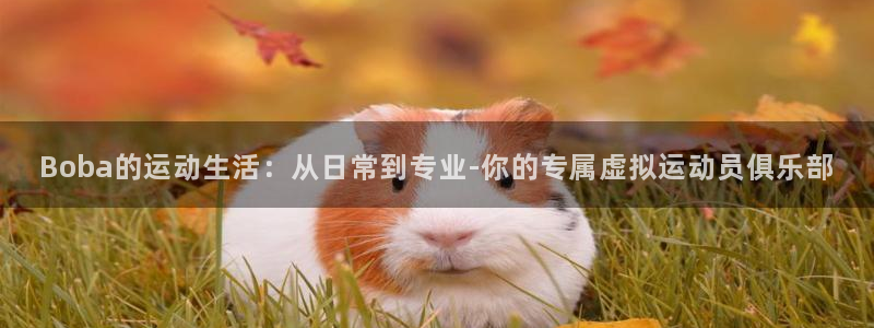 Boba的运动生活：从日常到专业-你的专属虚拟运动员俱乐部