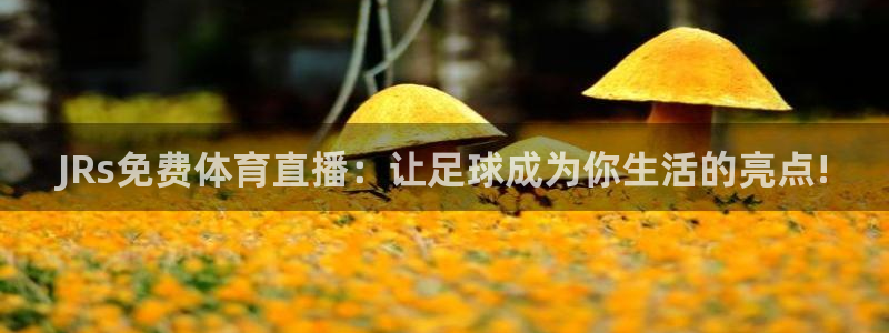 JRs免费体育直播：让足球成为你生活的亮点!
