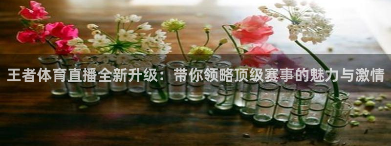 王者体育直播全新升级：带你领略顶级赛事的魅力与激情