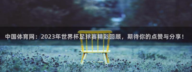 中国体育网：2023年世界杯足球赛精彩回顾，期待你的点赞与分享！