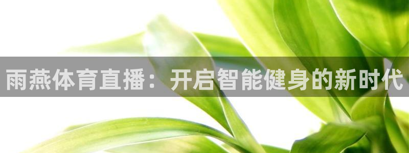 雨燕体育直播：开启智能健身的新时代
