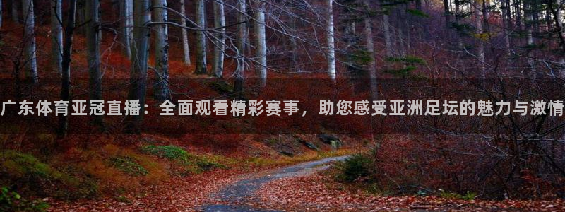 广东体育亚冠直播：全面观看精彩赛事，助您感受亚洲足坛的魅力与激情