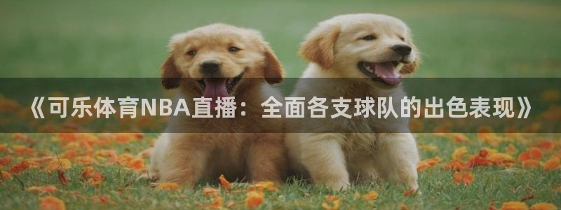 《可乐体育NBA直播：全面各支球队的出色表现》