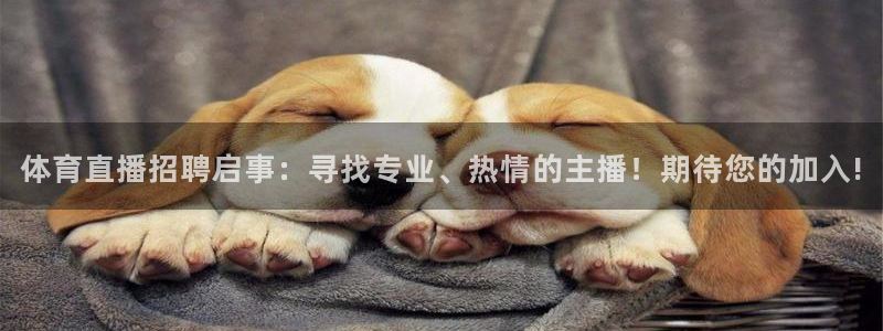 体育直播招聘启事：寻找专业、热情的主播！期待您的加入!