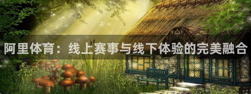 阿里体育：线上赛事与线下体验的完美融合