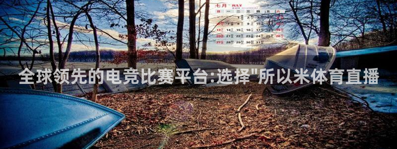 全球领先的电竞比赛平台:选择\