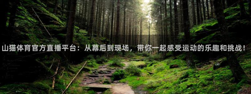 山猫体育官方直播平台：从幕后到现场，带你一起感受运动的乐趣和挑战！