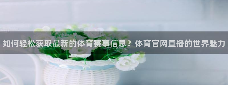如何轻松获取最新的体育赛事信息？体育官网直播的世界魅力