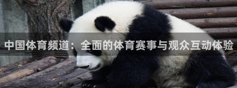中国体育频道：全面的体育赛事与观众互动体验