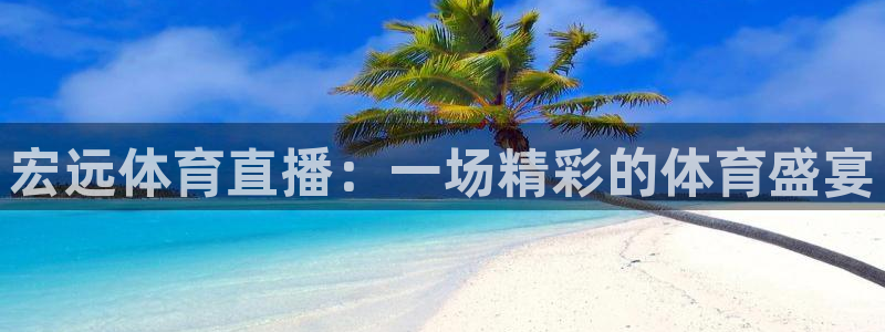 宏远体育直播：一场精彩的体育盛宴