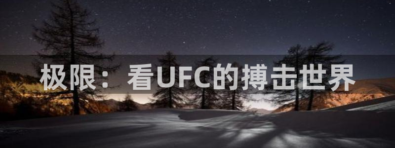 极限：看UFC的搏击世界