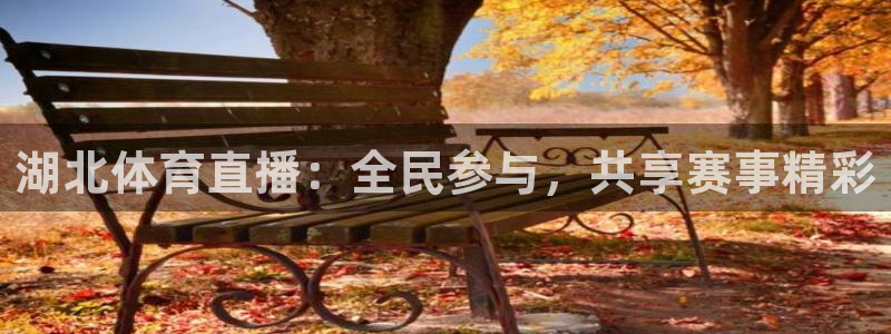 湖北体育直播：全民参与，共享赛事精彩