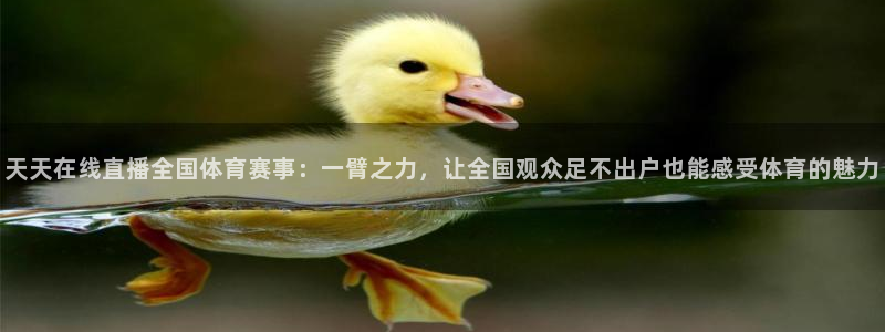 天天在线直播全国体育赛事：一臂之力，让全国观众足不出户也能感受体育的魅力