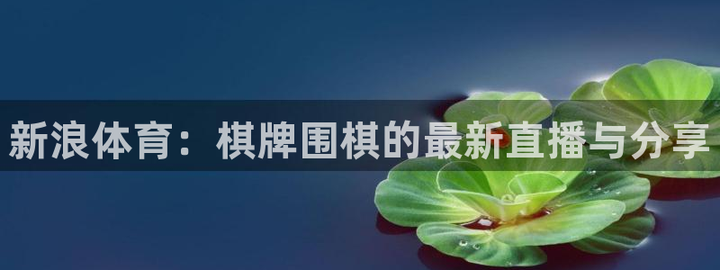 新浪体育：棋牌围棋的最新直播与分享